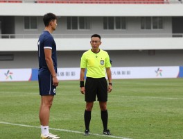 巨人边裁,体育比赛中边裁的职责是什么,高大运动员如何影响判罚,科技会取代边裁吗