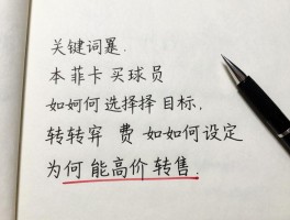 本菲卡买球员,策略是什么,如何选择目标,转会费如何设定,为何能高价转售