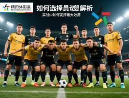精选时刻球员全解析：如何选择最强球员,不同位置如何搭配,实战中如何发挥最大效用