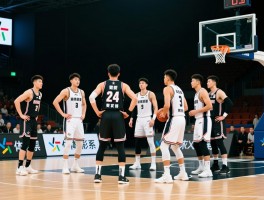 篮球球员球队,如何选择核心球员,球队战术如何影响表现,球员数据在哪里查看