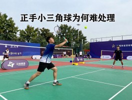 什么是小三角球,小三角球如何发球,小三角球怎么接,正手小三角球为何难处理