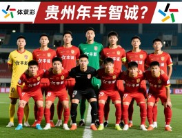 贵州恒丰智诚球员名单,球队现状如何？,核心球员有谁？,历年阵容怎么变化？