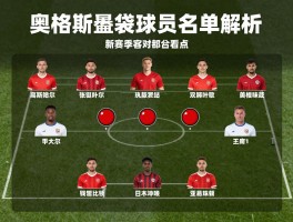 奥格斯堡球员名单解析：阵容实力如何评价,新赛季有哪些看点,主力阵容怎么搭配