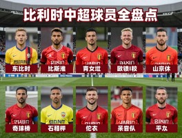 比利时中超球员全盘点，谁的表现最成功，他们现状如何，对中超有什么影响