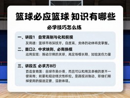 篮球必应丨篮球必备知识有哪些,必学技巧怎么练,必看规则如何掌握