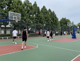 篮球场五大怪,有哪些常见类型,如何识别应对,野球场生存指南