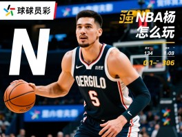 N杨球员是谁,尼克杨职业生涯数据如何,最强NBAN杨怎么玩