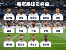 皇马所有球员名单,新赛季阵容分析,球员位置解析,战术体系预测