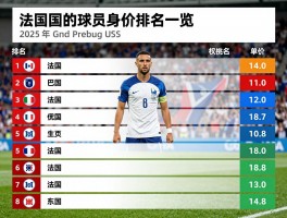 法国的球员身价排名一览,谁是最贵的法国球员,2025年身价如何
