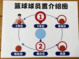 篮球球员位置介绍图,1-5号位如何分工,站位图解怎么理解,球员职责有哪些区别