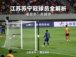江苏苏宁夺冠进球球员全解析，谁打入关键球，进球过程如何，球员现状怎样