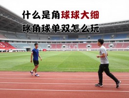 什么是角球大细,角球大小怎么玩,角球大小单双怎么买,角球大小是什么意思