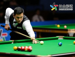 桌球边裁全知道：裁判如何判断贴球与犯规，边裁职责范围包括哪些，争议判罚如何处理