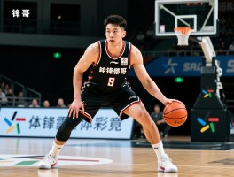 中锋哥,究竟指哪位球员,中锋角色如何演变,现代中锋需要哪些技能