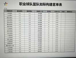 篮球队队员表,职业球队如何构建阵容,业余球队名单管理要注意什么