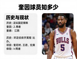 奎因球员知多少,篮坛足坛有哪些奎因,历史与现状如何