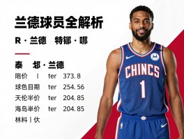 兰德球员全解析：兰德尔NBA最新动态，R·兰德效力哪个球队，泰戈·兰德身价多少