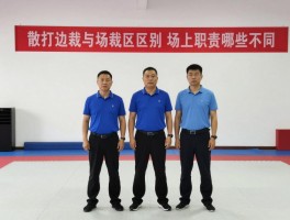 散打边裁与场裁的区别,场上职责有哪些不同,判罚权限如何划分,怎样协同工作
