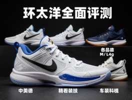 环太平洋篮球鞋全面评测：中美德品牌怎么选,各品牌科技有何不同,选购要注意什么