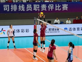 排球举旗边裁,司线员职责是什么,旗示图解如何解读,判罚标准有哪些