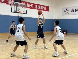 篮球训练报道,科学训练如何提升命中率,青少年篮球如何培养兴趣