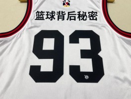 篮球号码背后的秘密,如何选择球衣号码,球衣号码有哪些讲究