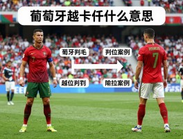 葡萄牙越位是什么意思,足球越位规则图解,C罗越位争议案例,越位判罚标准是什么