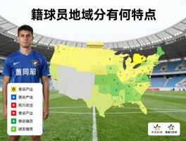 籍球员,地域分布有何特点,如何查询球员籍贯,哪些地区青训产出高效
