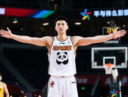 CBA球员韩德君身高,多少,臂展多少,职业生涯数据如何,为什么叫功夫熊猫