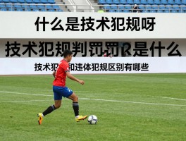 什么是技术犯规呀,技术犯规判罚标准是什么,技术犯规和违体犯规区别有哪些