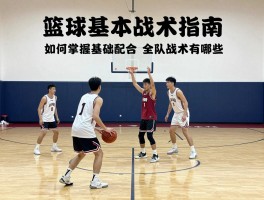 篮球基本战术指南,如何掌握基础配合,全队战术有哪些,战术训练方法是什么