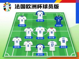 法国欧洲杯球员版,阵容名单如何解读,球衣号码有哪些含义