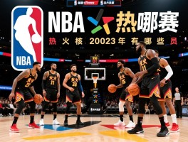 NBA总决赛热火球员,热火总决赛表现如何,核心球员有谁,2023年有哪些球员