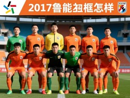 2017鲁能球员名单,2017鲁能阵容有哪些球员,球队阵容如何构建,主力框架怎样