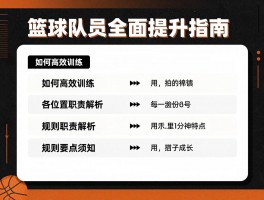 篮球队员全面提升指南：如何高效训练,各位置职责解析,规则要点须知