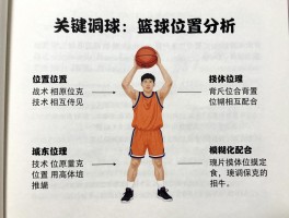 篮球位置分析,各位置战术作用是什么,如何相互配合,现代篮球位置模糊化趋势如何