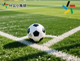 什么是小角球,小角球技术要领,发小角球的四种方法,小角球在比赛中的战术价值