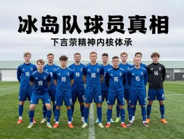 冰岛队球员主业,球员兼职真相,维京精神内核
