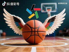 篮球之翼,是什么品牌,抖音号是谁,小说讲什么,如何购买正品