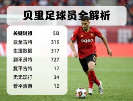 贝里足球员全解析，哪位球员实力最强，生涯数据如何，现效力哪支球队