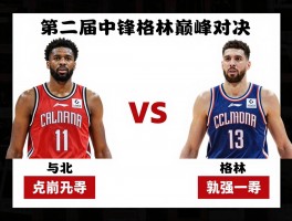 火箭中锋vs格林巅峰对决,技术特点谁更胜一筹,数据对比孰强孰弱,未来走势如何发展