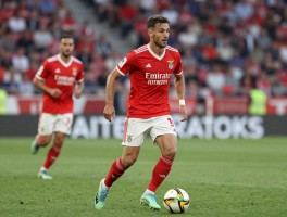 本菲卡热刺球员,转会策略如何,成功案例有哪些,未来合作潜力多大