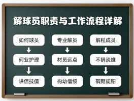 解球员职责与工作流程详解,如何成为专业解球员,解球员常见问题解答