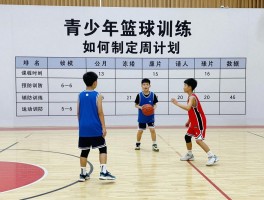 青少年篮球训练,如何制定周计划,几岁开始力量训练,怎样预防运动损伤