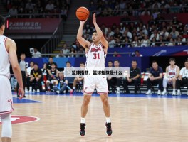 篮球指数,篮球指数是什么,篮球指数怎么使用,篮球指数有哪些类型