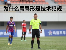 为什么骂裁判是技术犯规,裁判权威,体育精神,比赛公平性