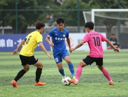 基础球员组合有哪些,如何搭配更有效,训练方法有哪些,实战中怎么应用