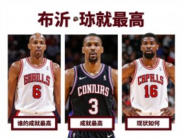 布什球员,包括哪些体育明星,谁的成就最高,现状如何？