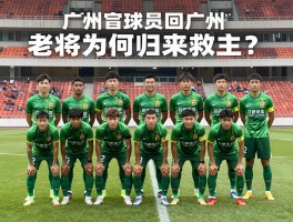 广州恒大球员回广州，老将为何归来救主？,归化球员今何在？,情感与利益如何平衡？