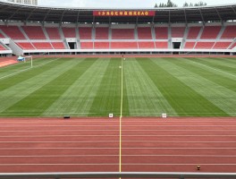 什么是角球限制线,它在哪,距离多远,违规了怎么办,和角球区什么关系